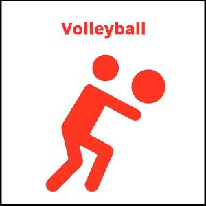 Volleyball